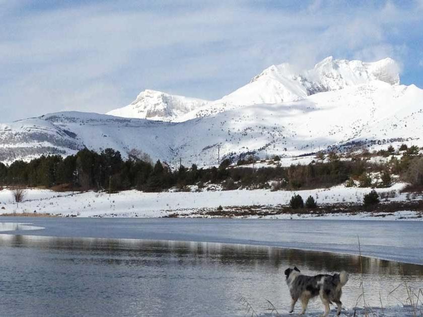 Gite Basse Correo La Freissinouse Exteriör bild